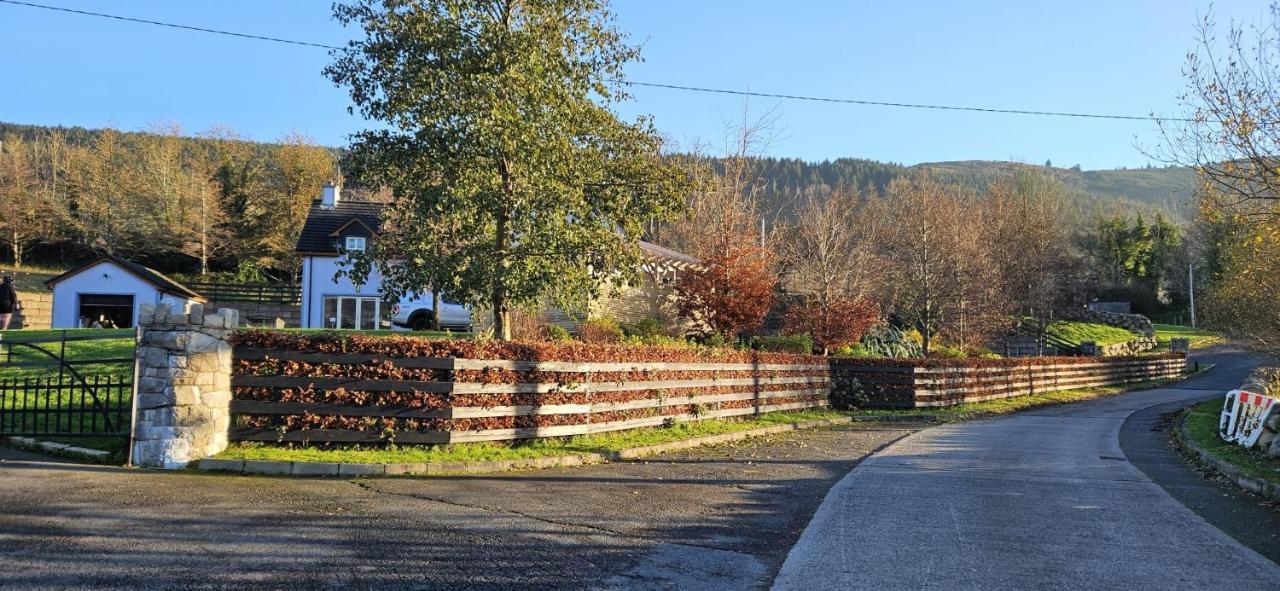 Rostrevor Valley House -Mountainside Hot Tub View Newry Exteriör bild