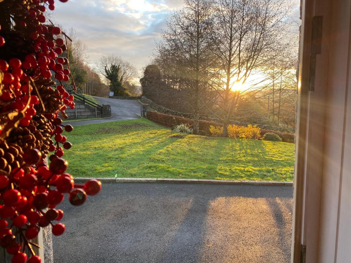 Rostrevor Valley House -Mountainside Hot Tub View Newry Exteriör bild