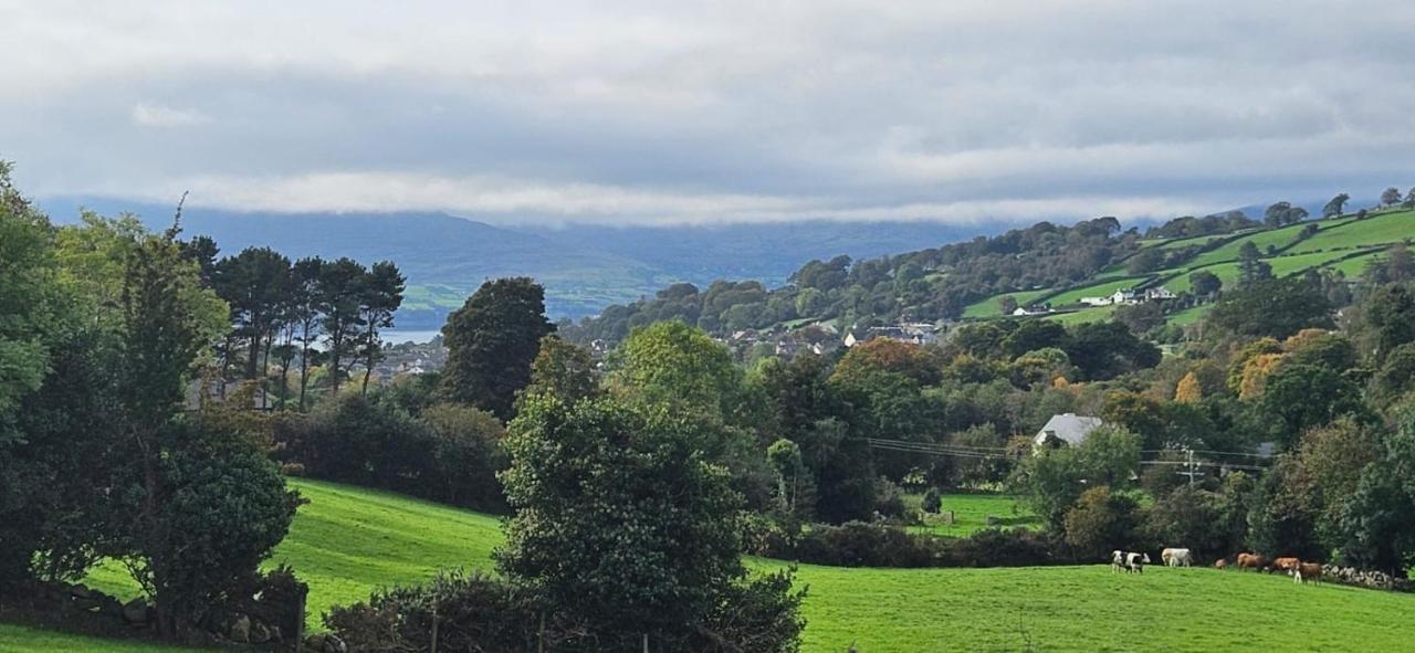 Rostrevor Valley House -Mountainside Hot Tub View Newry Exteriör bild